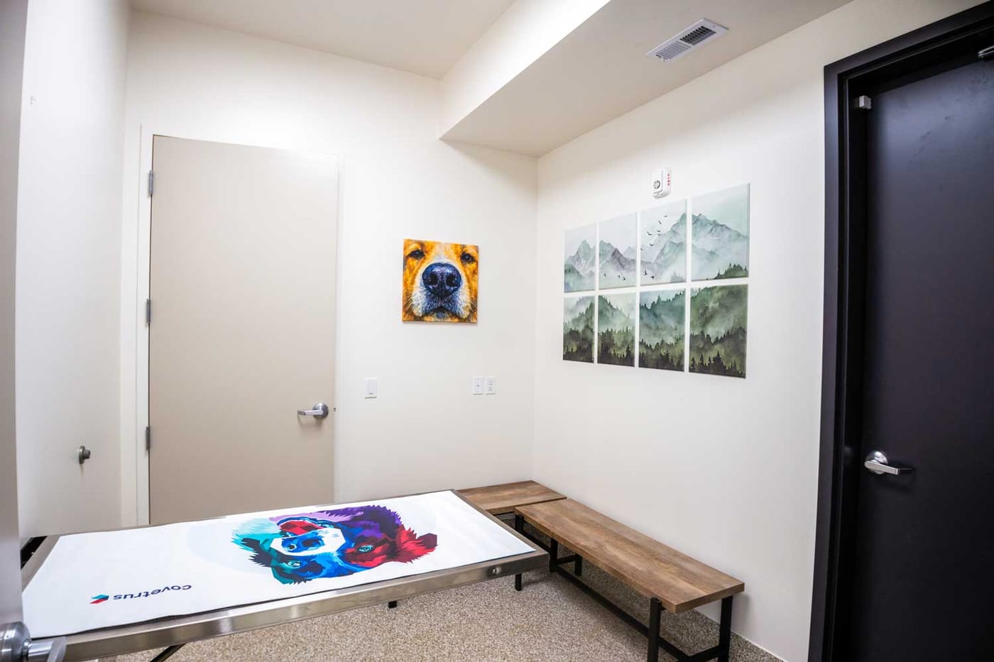 Exam room at Mtn Green Animal Hospital