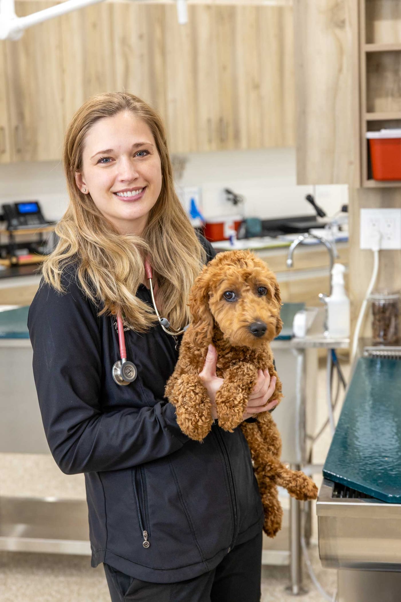 Dr. Nicole Sorensen, DVM holding a puppy at Mtn Green Animal Hospital