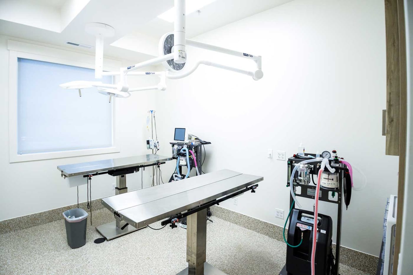 Surgical suite at Mtn Green Animal Hospital