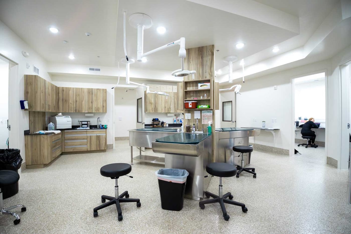 Open treatment area with modern equipment at Mtn Green Animal Hospital