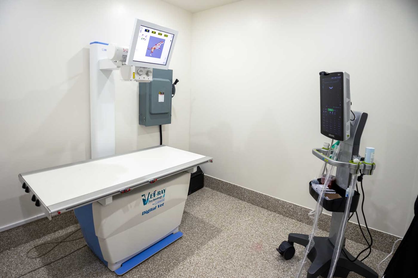 Digital X-ray room at Mtn Green Animal Hospital